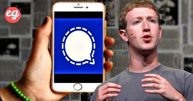 Mark Zuckerberg signal app controversy