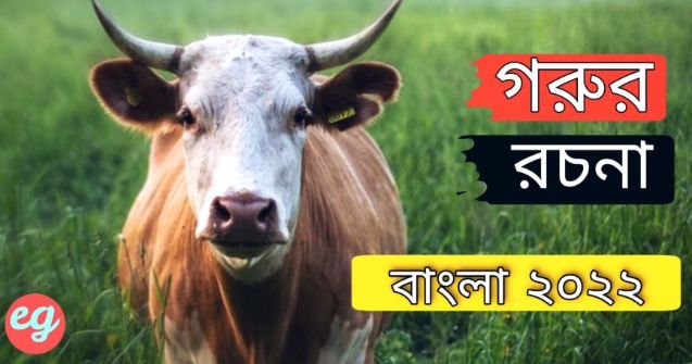 গরুর রচনা বাংলা (Cow essay in bengali 2022)