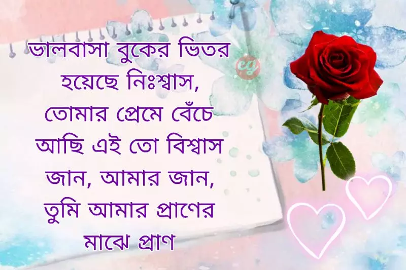 Bangla Romantic Status For Wife, Bangla Love Status For Wife