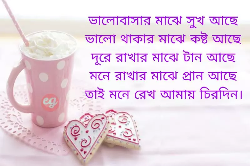 Bangla Romantic Status For Wife, Bangla Love Status For Wife
